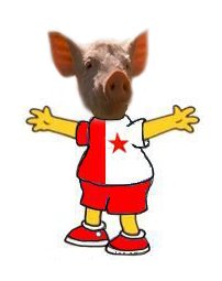 prase.jpg
